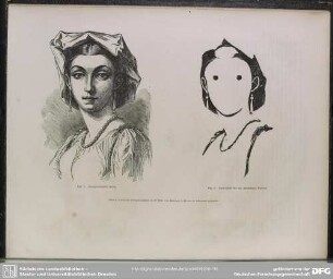 Fig. 1. Unzugerichteter Stock. Fig. 2. Ausschnitt für die dunkelsten Partien