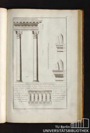 46. Entre-Colonnement de l'Ordre Francais.