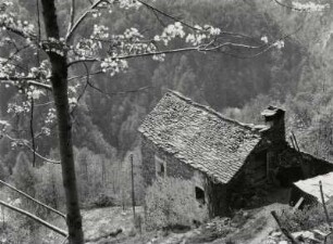 Verdasio im Centovalli, Bergdorf