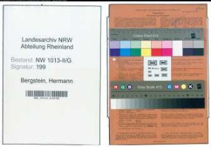 Entnazifizierung Hermann Bergstein , geb. 27.10.1888 (Maler)