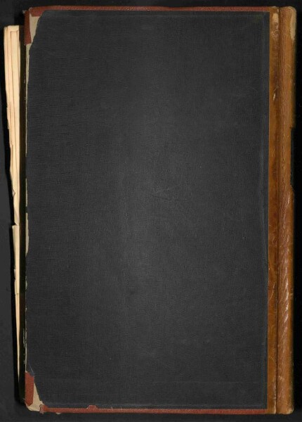 Standesamtsbuch der Stadt Aschaffenburg: Geburten 365/1900 - 184/1901