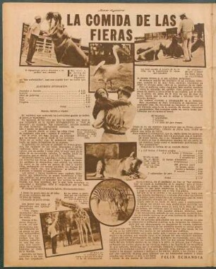 La comida de las fieras