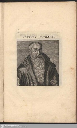 Joannes Sturmius