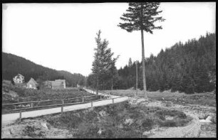 Hirschsprung bei Altenberg