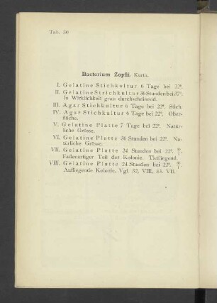 Tab. 30 Bacterium Zopfii