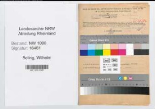 Entnazifizierung Wilhelm Beling, geb. 30.04.1895 (Werkmeister)