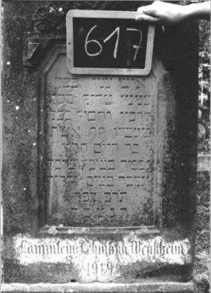 Grabstein 617 (Index: 99895313) Material: Sandstein Zustand: leicht bewachsen Maße HxBxT: 170x60x18 cm Beschreibung: Stele mit eingezogenem Rundbogenabschluss; Sockel Symbolik: Blütenbogen: Grabstein 617 (2)