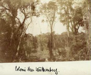 Kolonie Neu Württemberg