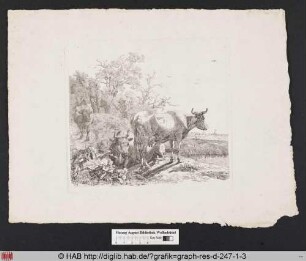 Ein Hirte mit seiner Rinderherde am Ufer eines Gewässers.