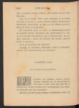 Capítulo XXX - Un encuentro desagradable