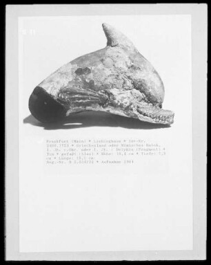 Delphin