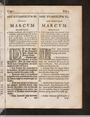 Markusevangelium / Evangelium beschreven door Marcum