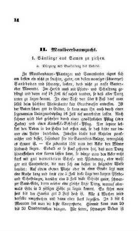 II. Maulbeerbaumzucht