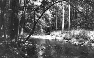 Löbau-Bellwitz. Löbauer Wasser im Skalatal