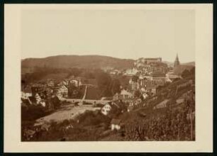 PA 6022, Blick ins Neckartal, Schloß, Stiftskirche. Foto Sinner (um 1880)
