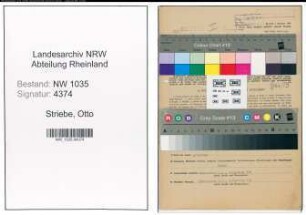 Entnazifizierung Otto Striebe , geb. 15.02.1887 (Kaufmann)