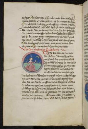 Sternbild: Junfgrau (Virgo)