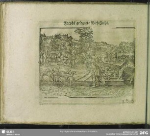 Jacobs gesegnete Vieh-Zucht
