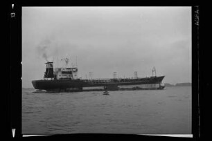Tol Runner (1976), Intercruise, Cy