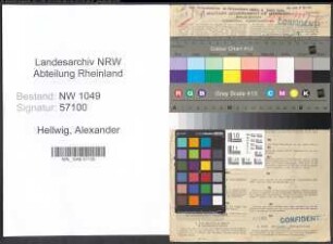 Entnazifizierung Alexander Hellwig , geb. 15.08.1890 (Wirtschaftsingenieur)