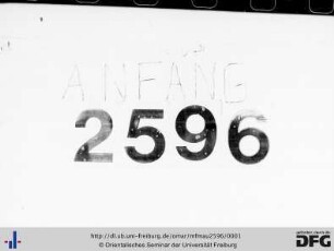 MF Mau 2595