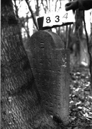 Grabstein 834