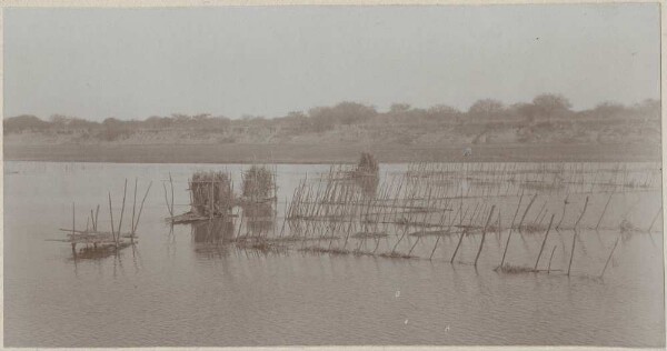 Vorrichtung zum Fischfang am mittleren Pilcomayo