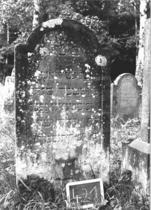 Grabstein 421 (Index: 99895193) Material: Sandstein Zustand: gut, bewachsen Maße HxBxT: 129x63x9 cm Beschreibung: Stele mit eingezogenem Rundbogenabschluss: Grabstein 421
