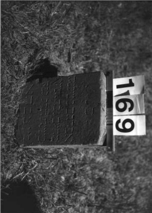 Grabstein 169 (Index: 100085413) Maße HxBxT: 32x22x13 cm Beschreibung: Rechteckige Stele Symbolik: Mohnkapsel: Grabstein 169