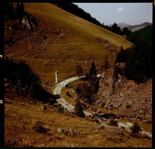 Stohren: Stohrenstraße, Tannen und weidende Kühe, von oben