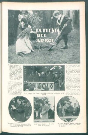 La fiesta del árbol
