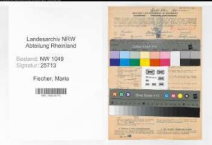 Entnazifizierung Maria Fischer , geb. 27.10.1901 (Buchhalterin)