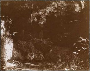 Eine Höhle (Hamburger Südsee-Expedition 1908-1910)