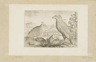 Rebhuhn und Adler, Blatt 18 der Folge "Vögel"