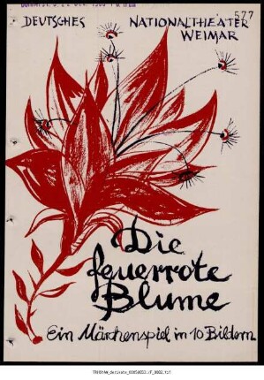 Die feuerrote Blume