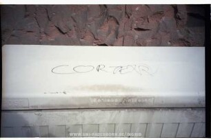 CORTEX | {REGISTERED-TRADE-MARK-SYMBOL}