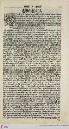 Die Katze