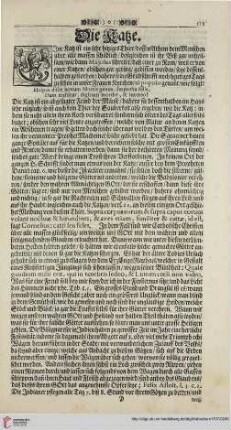 Die Katze