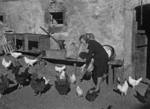 Privatfilm Erich Krah [Archivtitel]