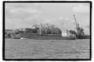 Bremer Anwalt (1959), Frachtschiff, Bremer Reederei Bruno Bischoff & Co. GmbH, Bremen, Bau-Nr. 408