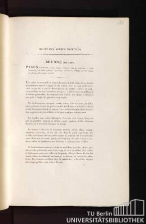 Traité des arbres fruitiers. Beurré romain. Pyrus romana, fructu magno, oblongo, obtuso, ventricoso, è viridi lutescente, ad solem paulisper quandoque rubescente, undique punctis magnis, maculisque rufis onusto, aestivali.