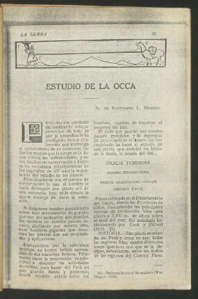 Estudio de la Occa