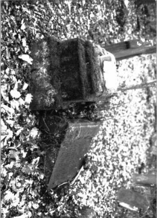 Grabstein 802