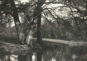 Oberlausitz. Bad Muskau. Im Schloßpark am Neißeufer