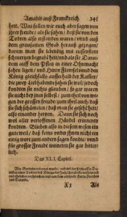 Das XLI. Capitel.