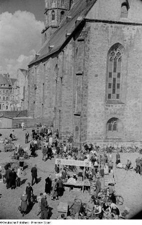 Seitenansicht Dom St. Petri mit Fleischmarkt