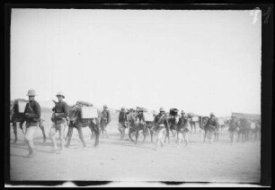Nador (Marokko): Gebirgsartillerie [des spanischen 10. Kavallerie-Regiments "Alcántara" (?)] in hellgestreiften Uniformhosen, dunklen Uniformjacken und Tropenhelmen und mit Munitionskisten tragenden Pferden