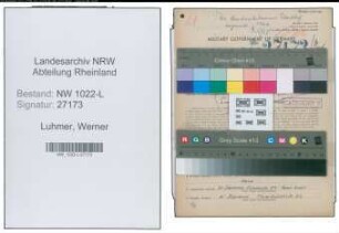 Entnazifizierung Werner Luhmer , geb. 23.04.1894 (Betriebsleiter)