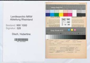 Entnazifizierung Hubertine Disch, geb. 11.02.1891 (Angestellte)