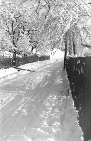 Röhrsdorf, Blick in den Mühlweg im Winter